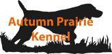 Autumn Prairie Kennel